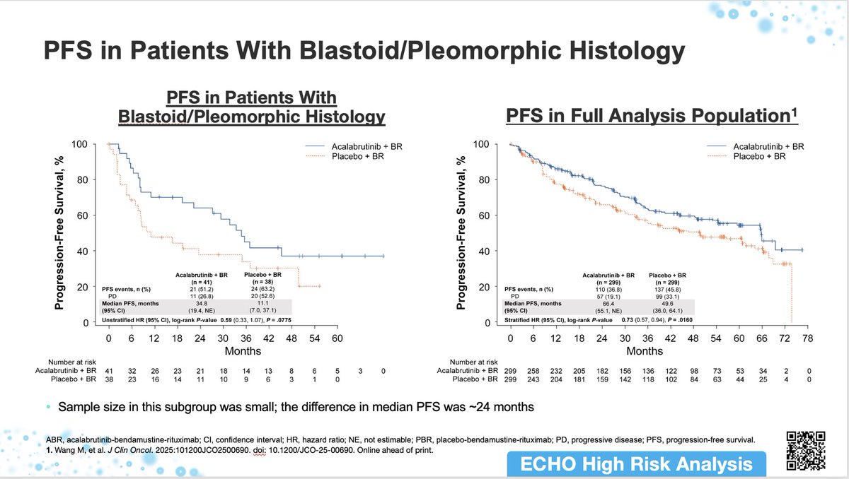 Pavlovsky_Mig's tweet image. EHA 2025 - ECHO trial: nice to be part of an international effort thanks to our patients and wonderful team at FUNDALEU