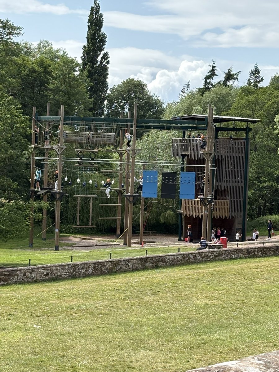 Light Hall PE Department tweet media