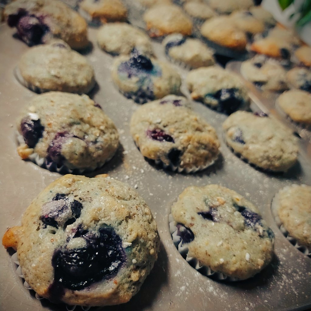 Please stop pretending you need Bobby Kennedy to save children from Fruit Loops and Skittles 🙄 when I'm over here baking 48 all natural, organic, sourdough discard blueberry mini-muffins for my four completely unvaccinated kids in between cleaning my house and shitposting.