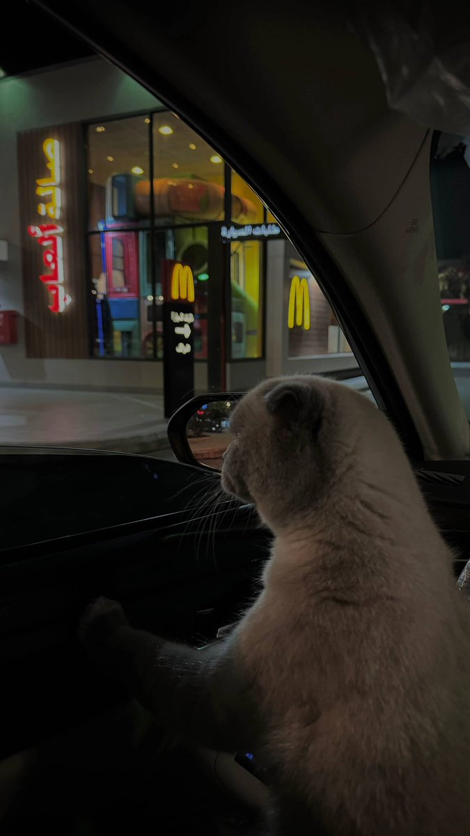 عبدالإله العتيبي ..⚖️ (@iioo_2) on Twitter photo 