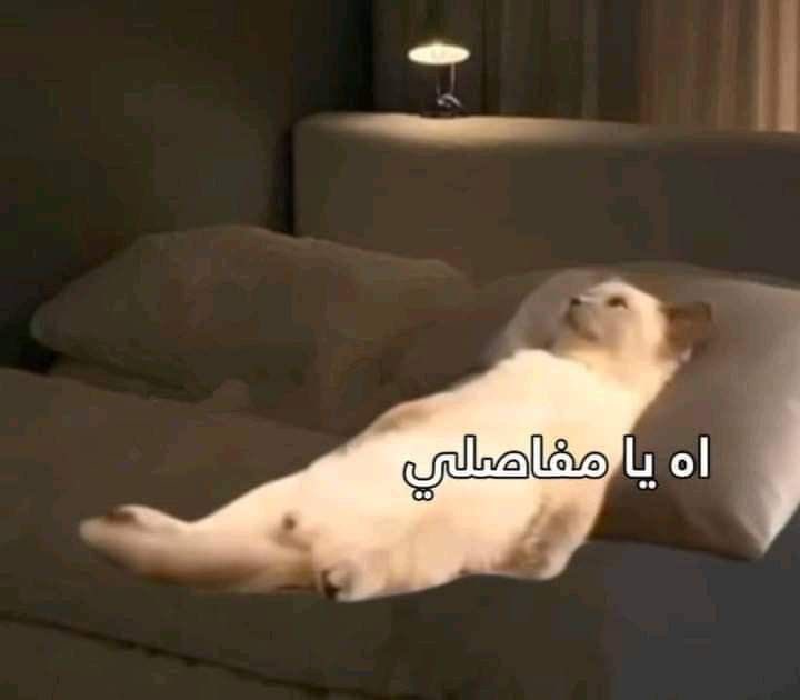 بعد ما أصحى من النوم :