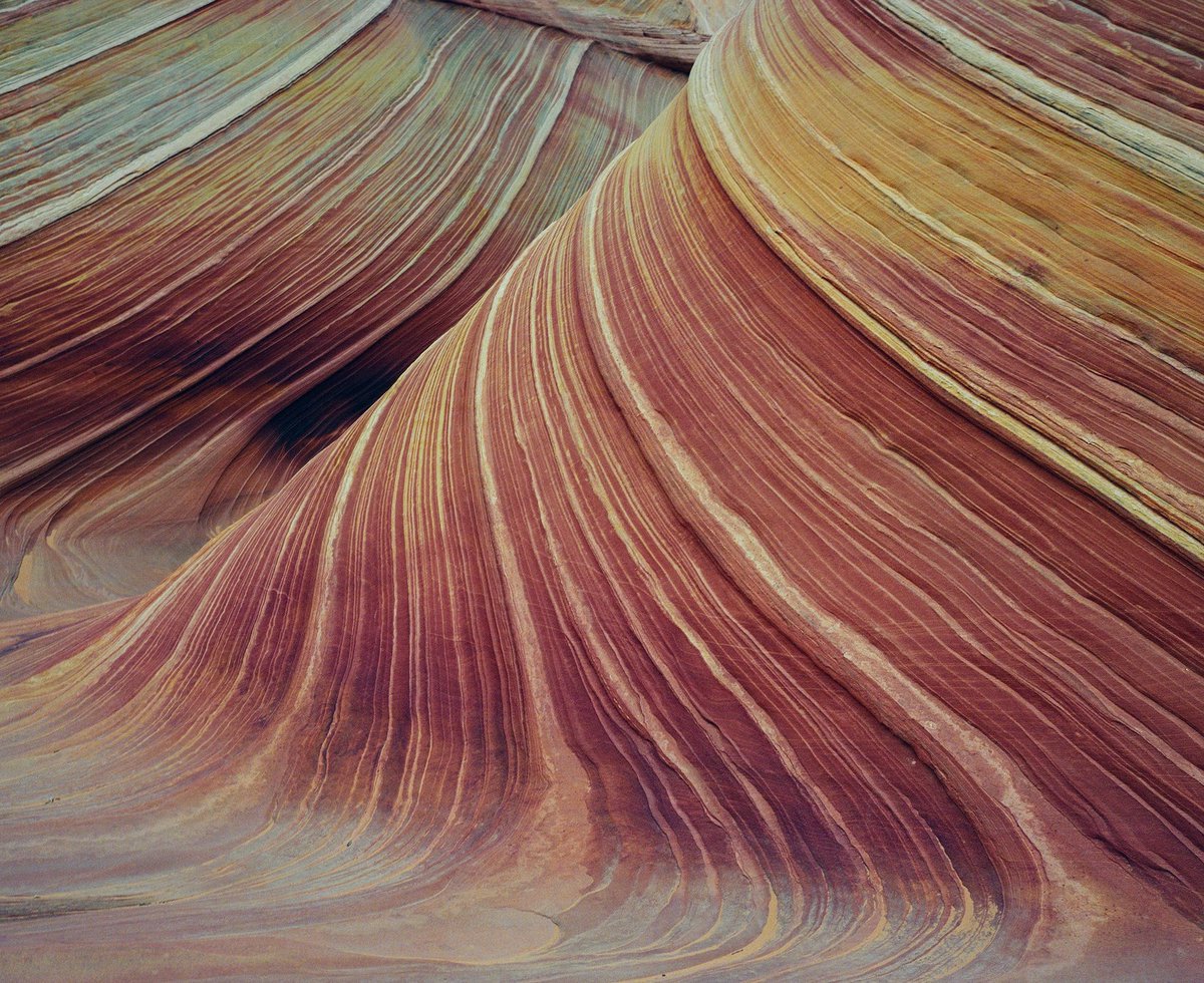 Colors of the Desert on 120 film