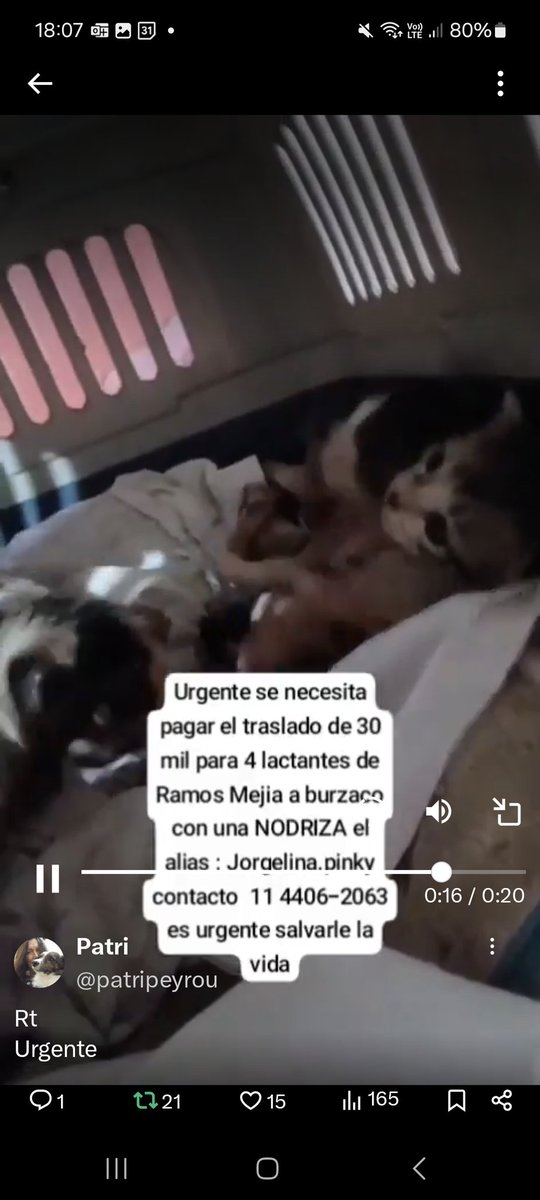 Sylvi@ Millán (@millanneururer) on Twitter photo 