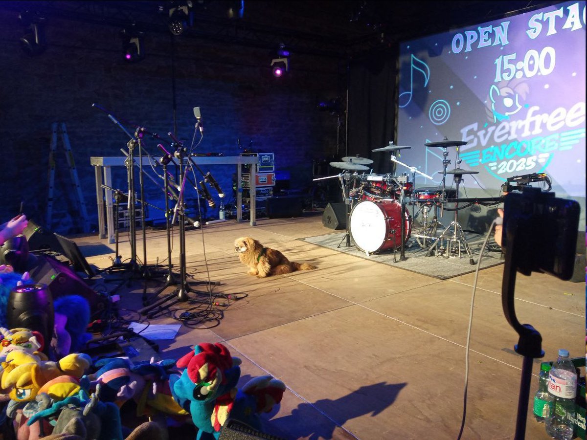 After cleaning up and (mostly) returning from the dead, we are happy to report that everypony made it home safely! Shoutout to Volunteers and Musicians who delivered nothing but the best! Thanks also to our 194 guests! This EE was the biggest and possibly overall best yet!