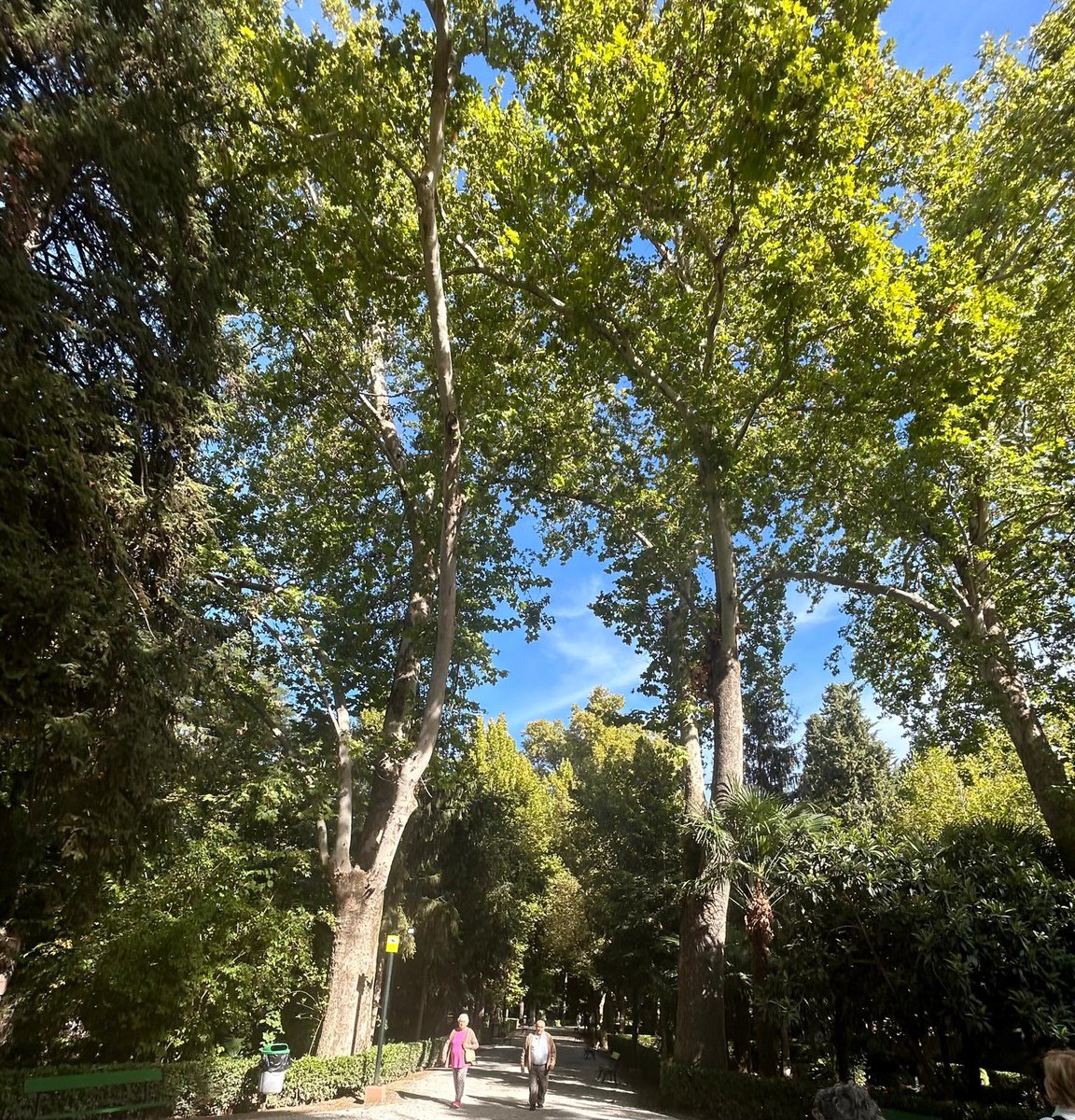 <a href="/rmon011/">SAMBAPATI</a> Vivir ya es un buen motivo para sonreír y ser feliz 
📖 Gracias “Respira” 
Esencial a la vida 
#LeoRespira #PremRawat 
#Peaceispossible #Infpeace 
#Respira