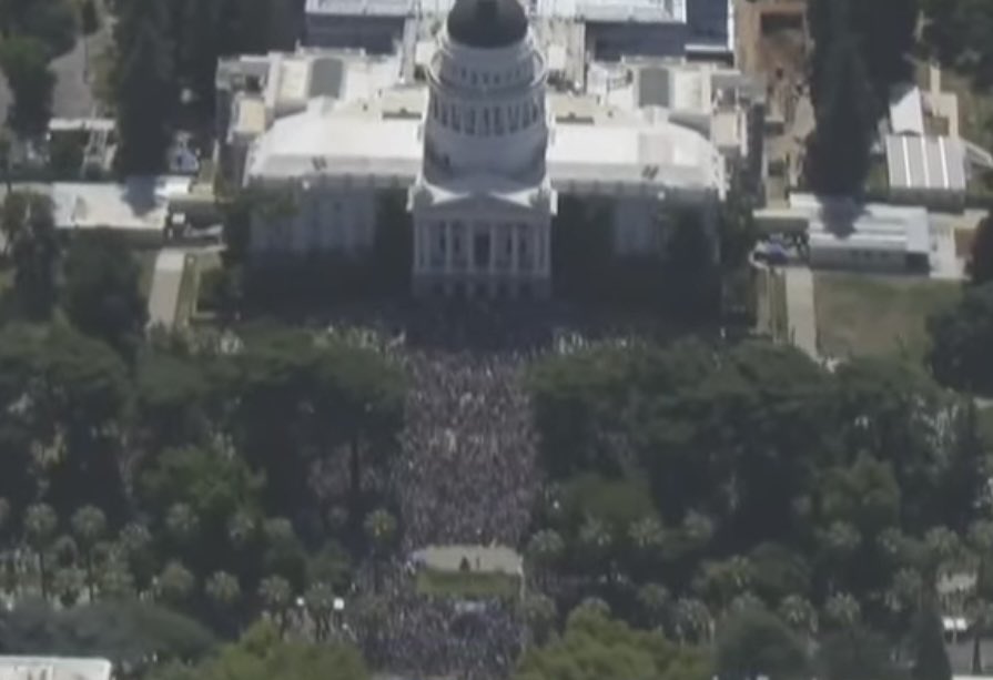 funder's tweet photo. Sacramento #NoKingsProtest https://t.co/oi2NCZV0rJ