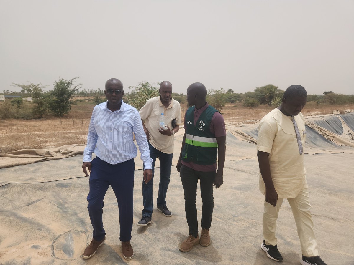 khalifa_a_sarr's tweet image. Visite enrichissante d'une délégation djiboutienne composée de l'OVD et à l'ADDS pour mieux comprendre les mécanismes et les bonnes pratiques en matière de gestion des déchets au Sénégal.
#Djibouti
#SONAGED