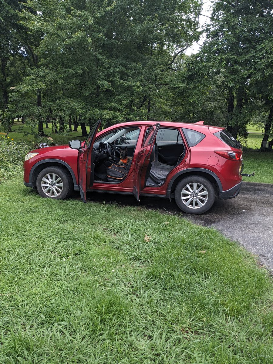 JeffDogTraining's tweet image. Spot the Malinois! ❤️