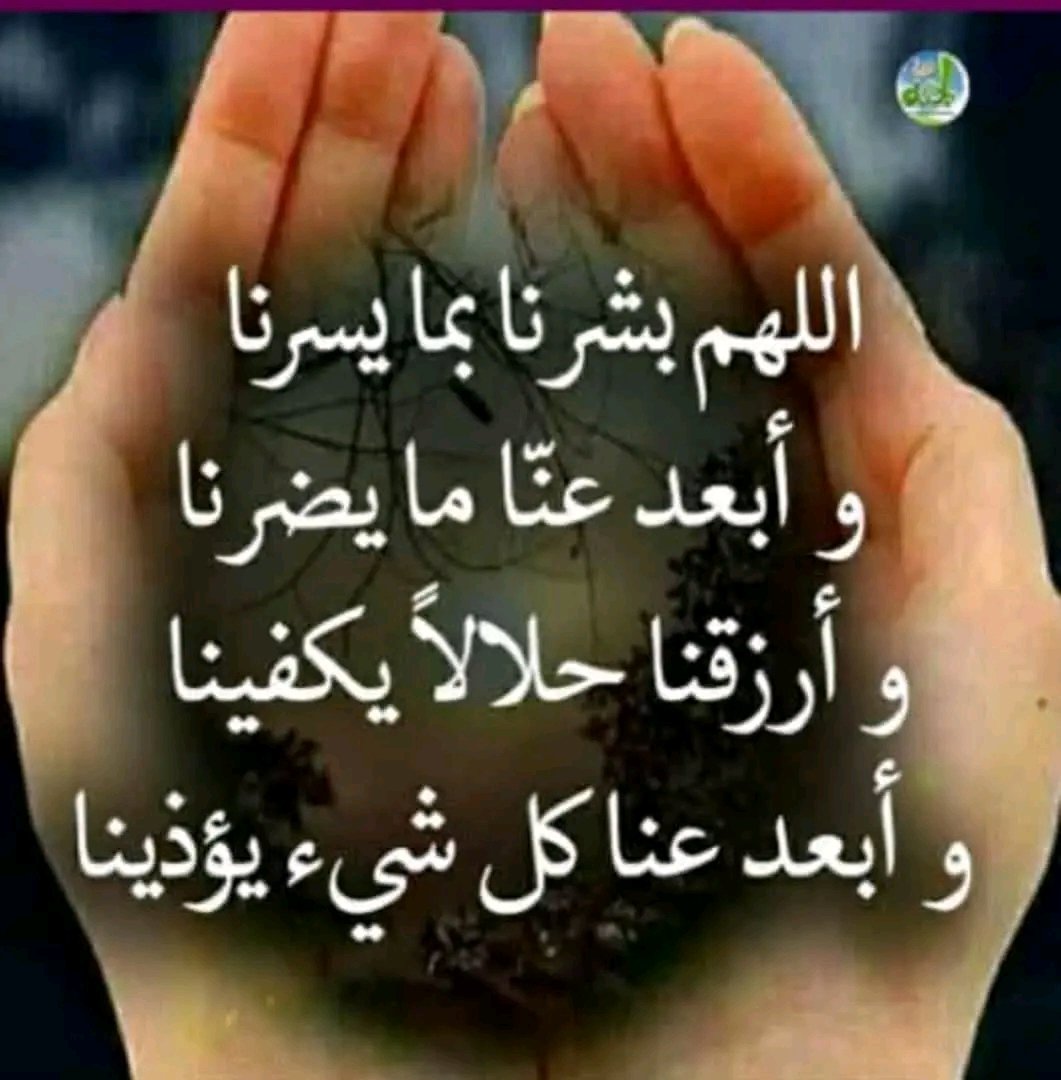 لا تدع جذورك تتعمق إلا في المكان الآمن الذي لا تقلق فيه على اغصانك.
