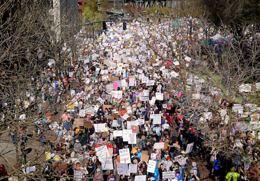 💙🌊 Zero Dark Twenty-Nine 🌊🌊🖋️🧫 tweet media