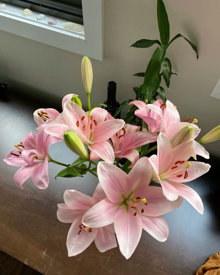 Nooni (@chaarpaai) on Twitter photo 