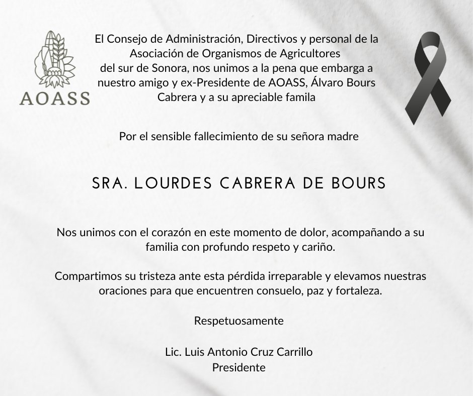 AOASS (@aoassoficial) on Twitter photo 