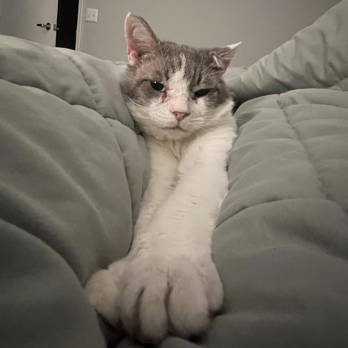 budypals's tweet image. Stinking Out He Legg&apos;s
