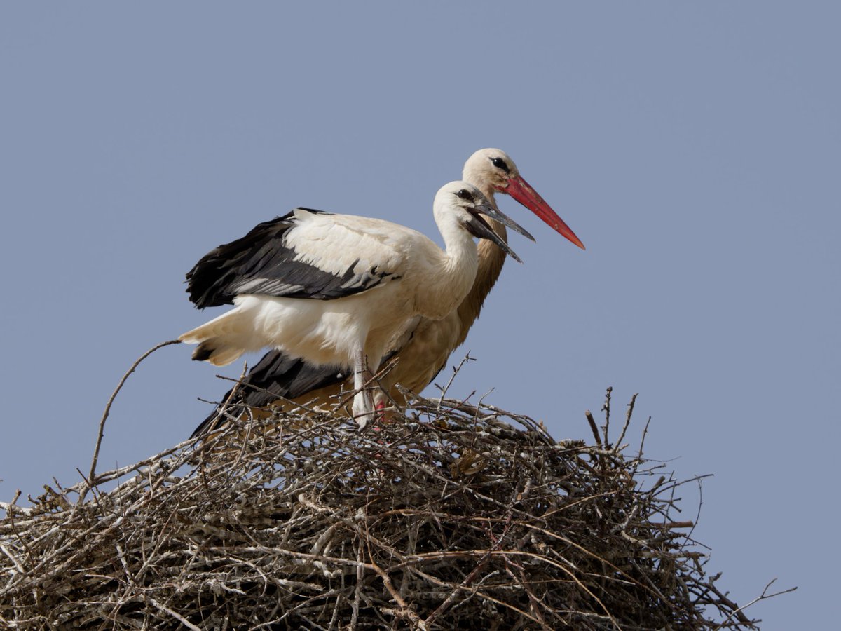 Jujuju , bueno bububu y que caloooo!!