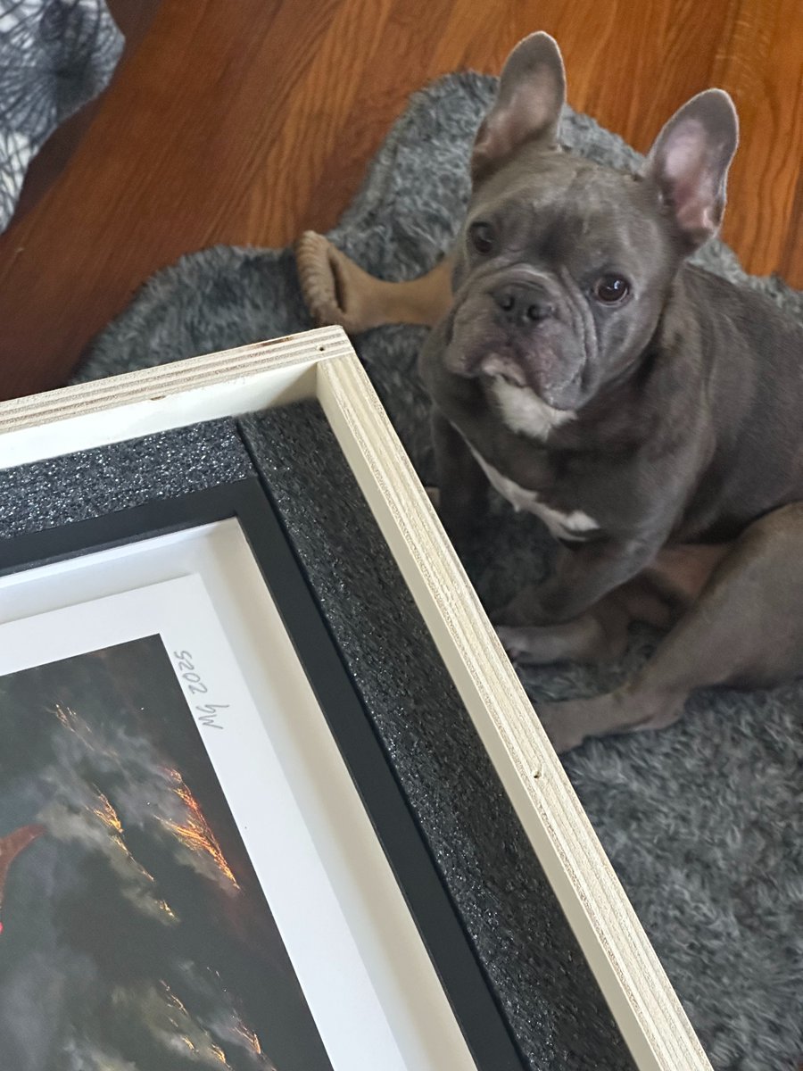 Thank you <a href="/otherworld_xx/">Other World</a> <a href="/avant_arte/">Avant Arte</a> 
Dogs of War, though my dog could care a less.