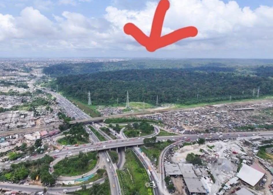 🇨🇮Abidjan, la capitale économique de la Côte d'Ivoire, abrite un véritable trésor écologique : La forêt du Banco, souvent qualifiée de "poumon vert" de la ville.  

La forêt du Banco, avec une superficie d'environ  3.474 hectares, est classée Parc national depuis 1953, et
