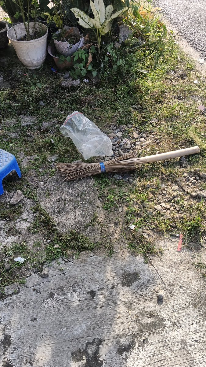 Anjay pulang kampung membabu
