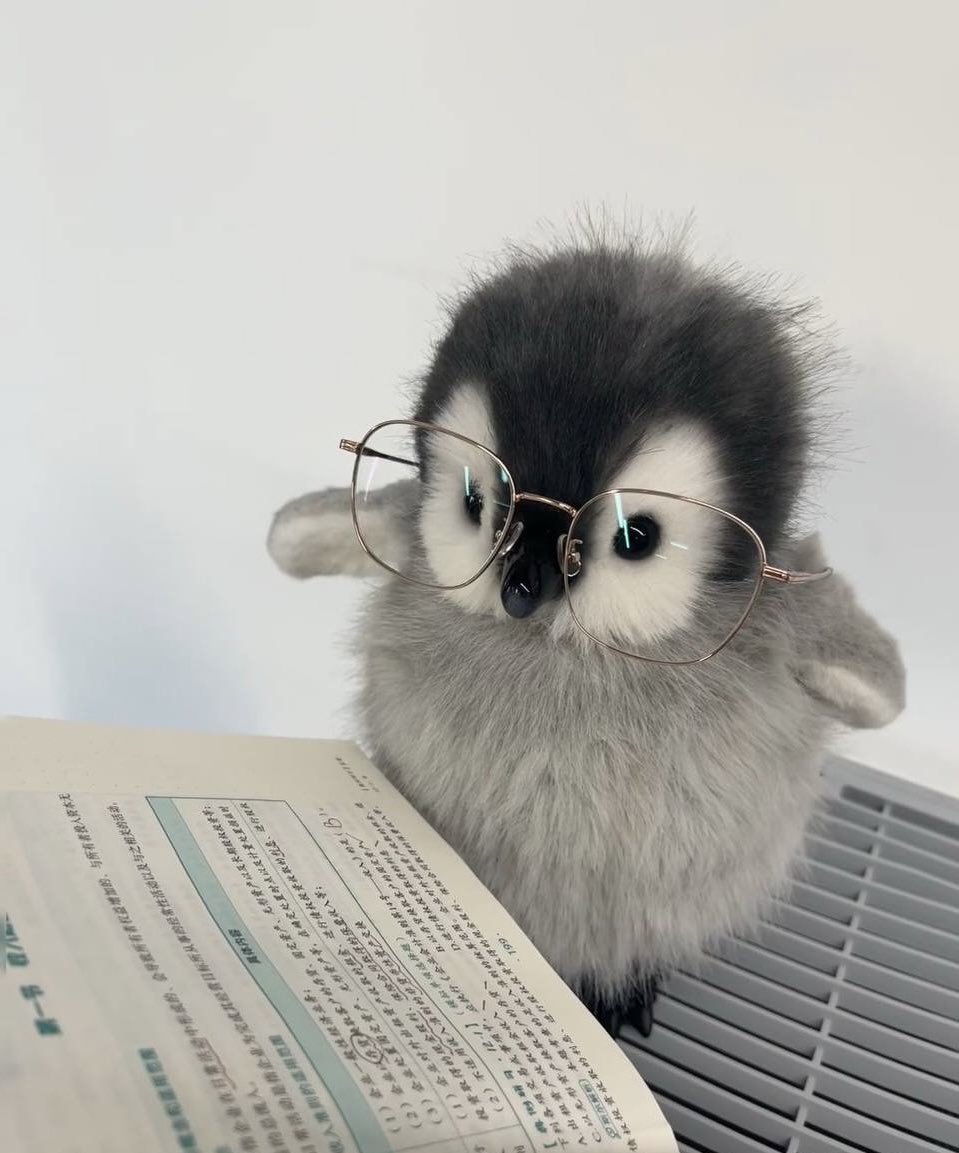 Reading the latest $peanie reports..

Lots of work ahead, let’s get it. 

🐧