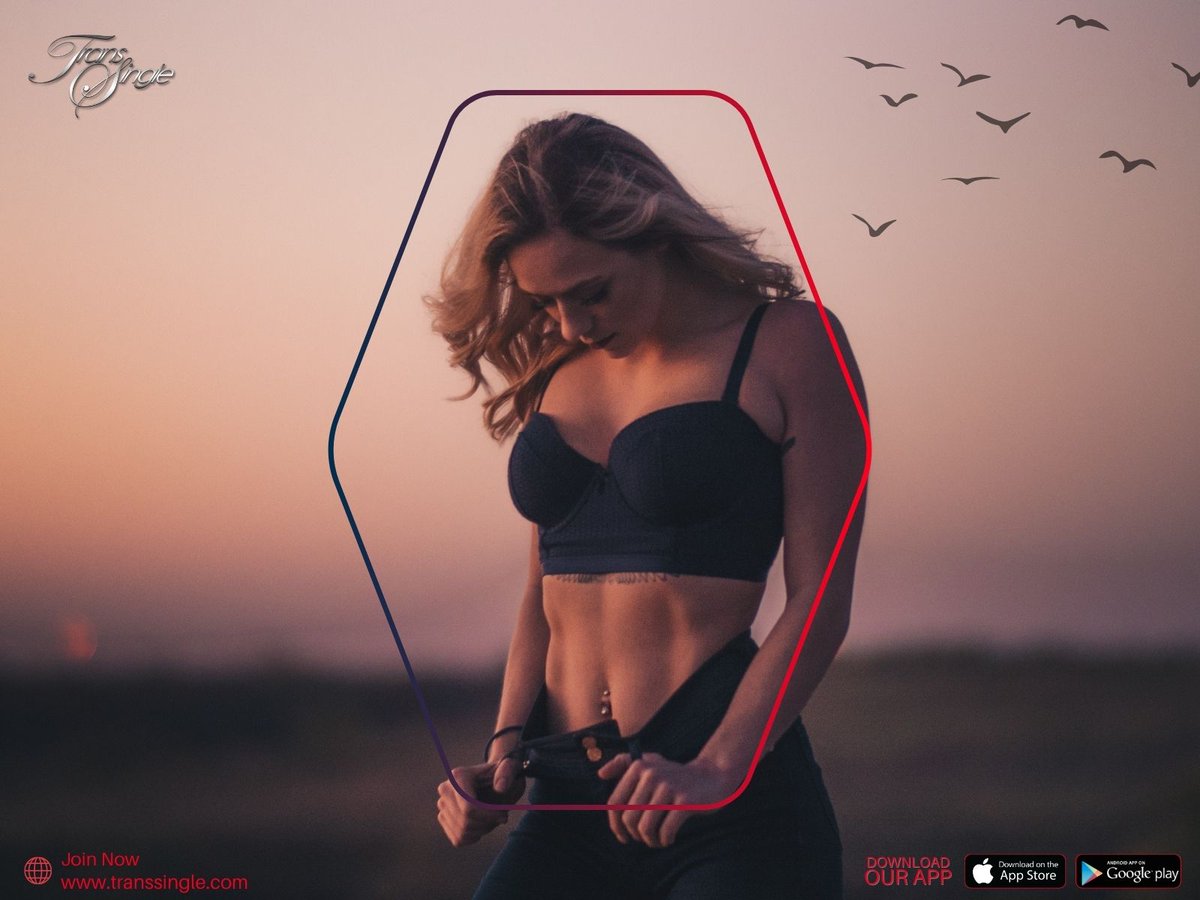 TransSingle tweet media