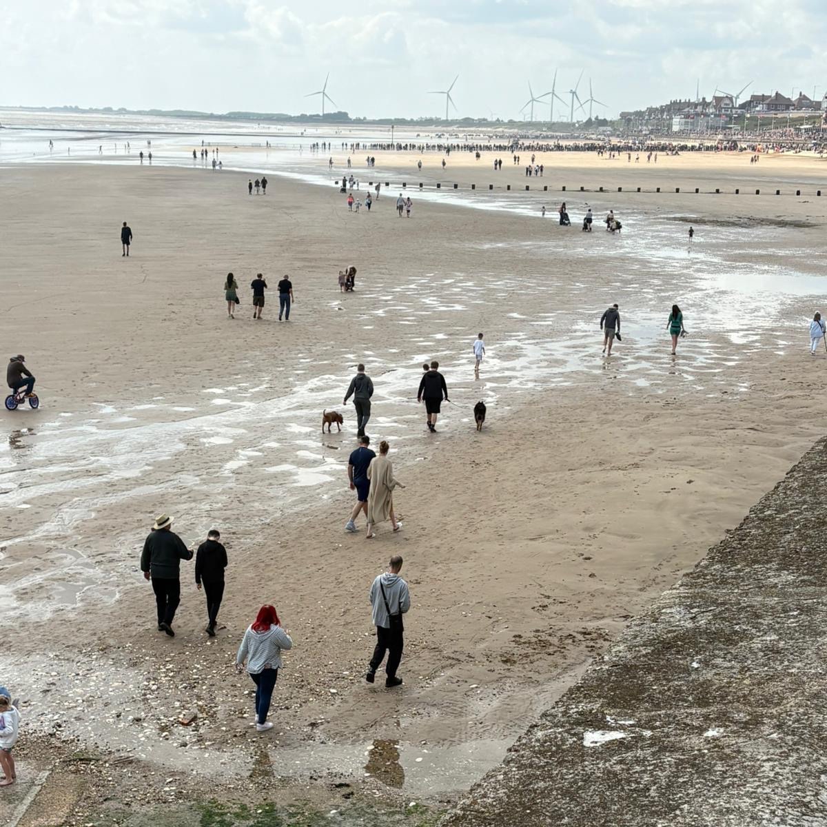 Fostering Rotherham tweet media