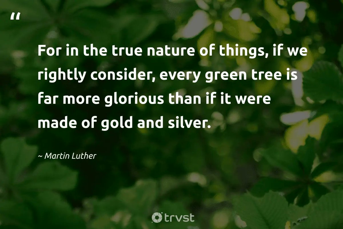 𝕯𝖊 𝕭𝖔𝖒𝖊𝖓𝖈𝖑𝖚𝖇 (@bomenclubnl) on Twitter photo 