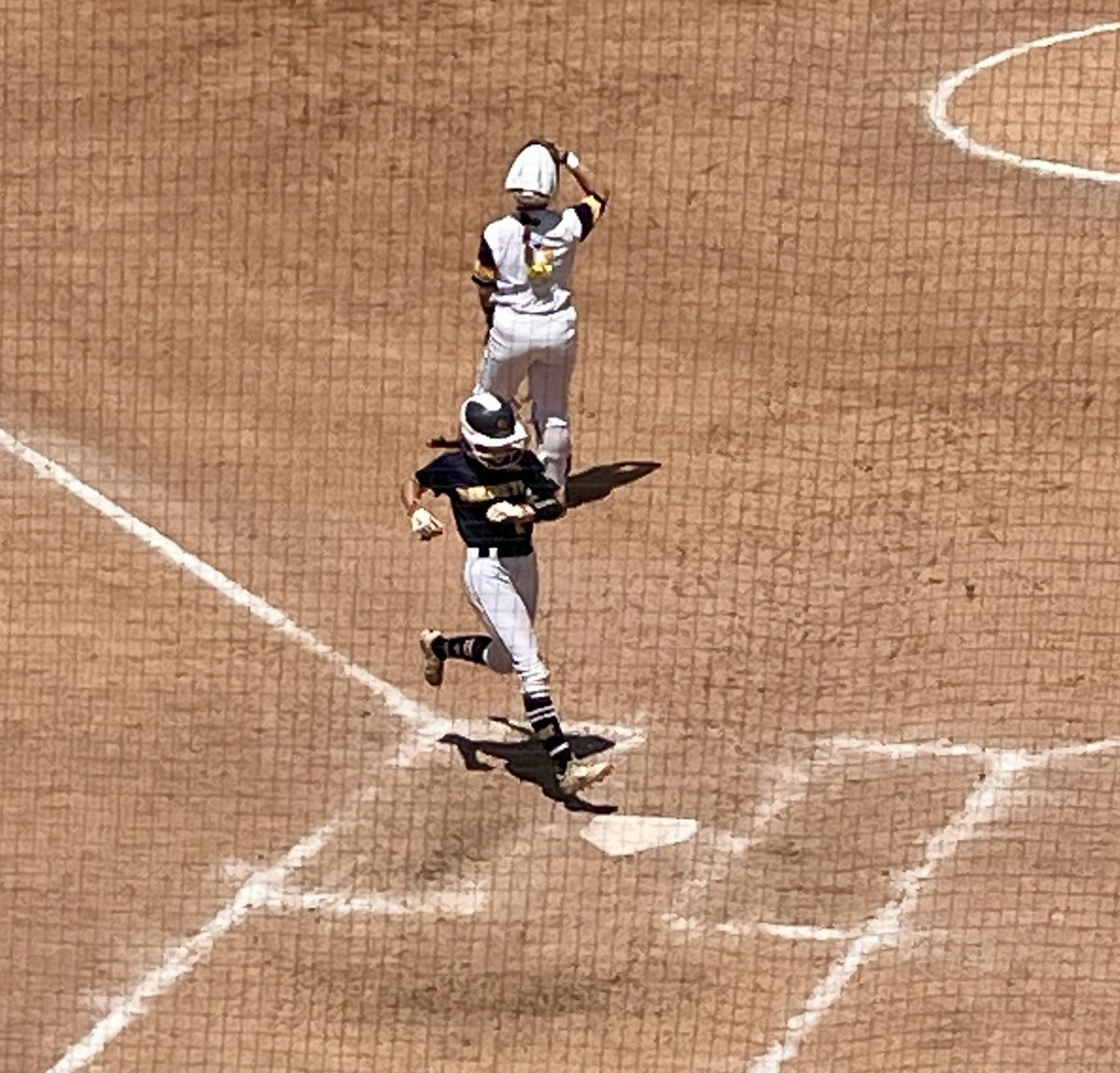 Saline Athletics tweet media