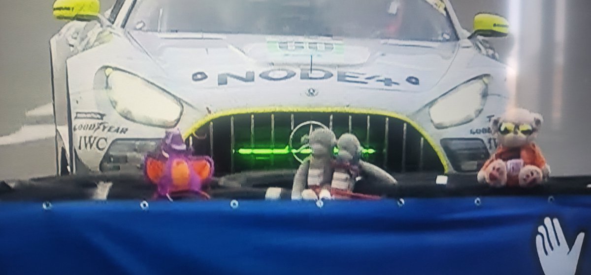 AlpacaEuph's tweet photo. @AORacingUSA https://t.co/EDphc9Mwft