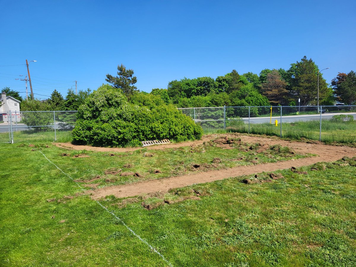 MdjhGardens's tweet photo. Progress!!!  Finally, good gardening weather and taking full advantage.  Whole garden is laid out and have the sods pulled of what will become the Pollenator Garden.  Tomorrow will be to strip sods off of the Traditional NL Garden and the Berry Patch. @mdjh @LSF_LST https://t.co/QJeO44SRVq