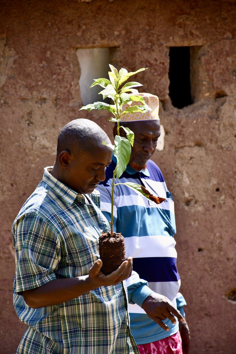 Global Sustainability Alliance (GSA) tweet media