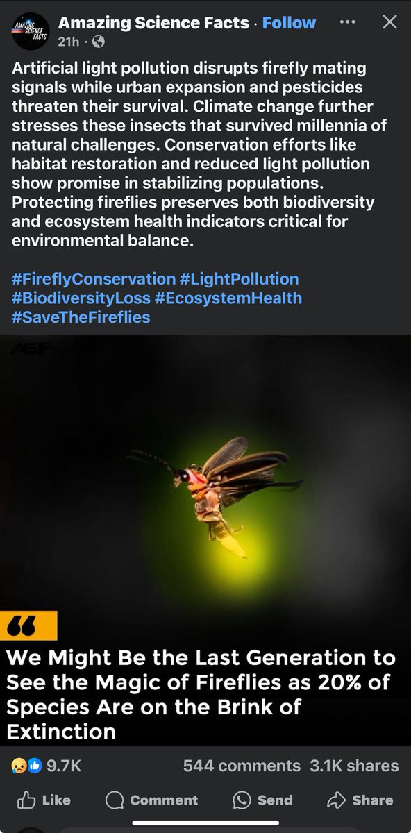 ShriverEdward's tweet image. I don’t post much. Don’t really come on here. But I did recommend a proposal that nobody probably took Gino consideration. But I guess we keep ignoring the little things in life. Or at least you do. Your generations to come are going to be so screwed. 😂