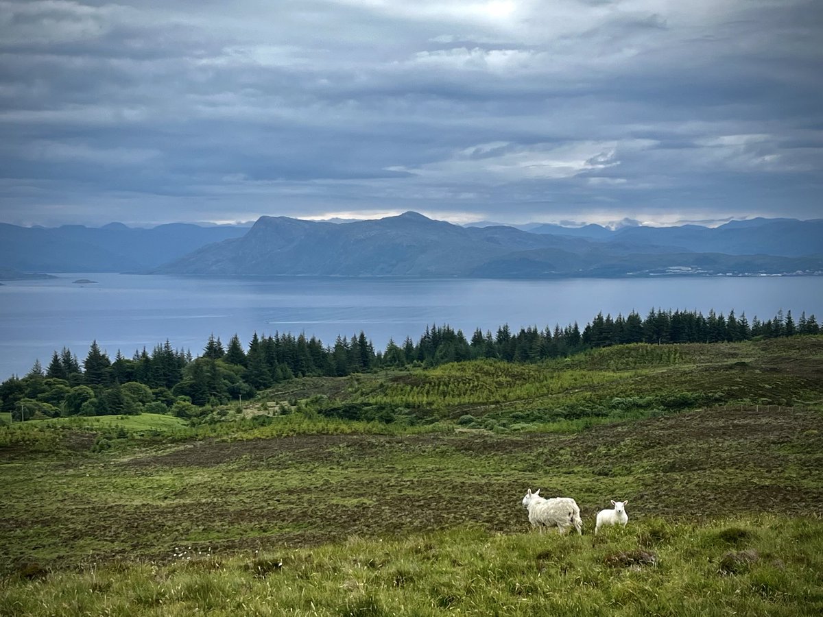 InEilidh's tweet image. A moody, muggy day today as we walked up Armadale Hill in #Sleat #Skye, with a view of the mountains of Knoydart across the Sound of Sleat.