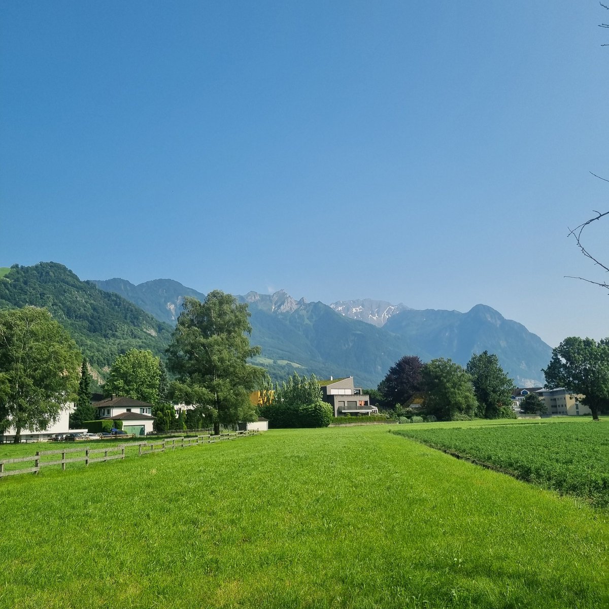 25 away games with Scotland and many more to come, cracking trip to Zurich/Vaduz 🏴󠁧󠁢󠁳󠁣󠁴󠁿🏴󠁧󠁢󠁳󠁣󠁴󠁿