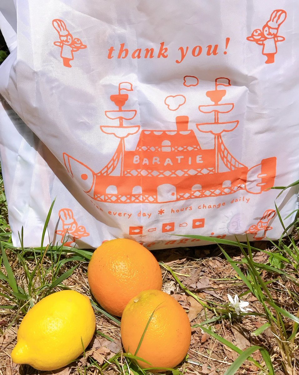 steph🍊 tweet media