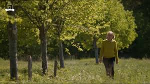 Bijzondere bomen in Nederland.

mysl.nl/KfSAc