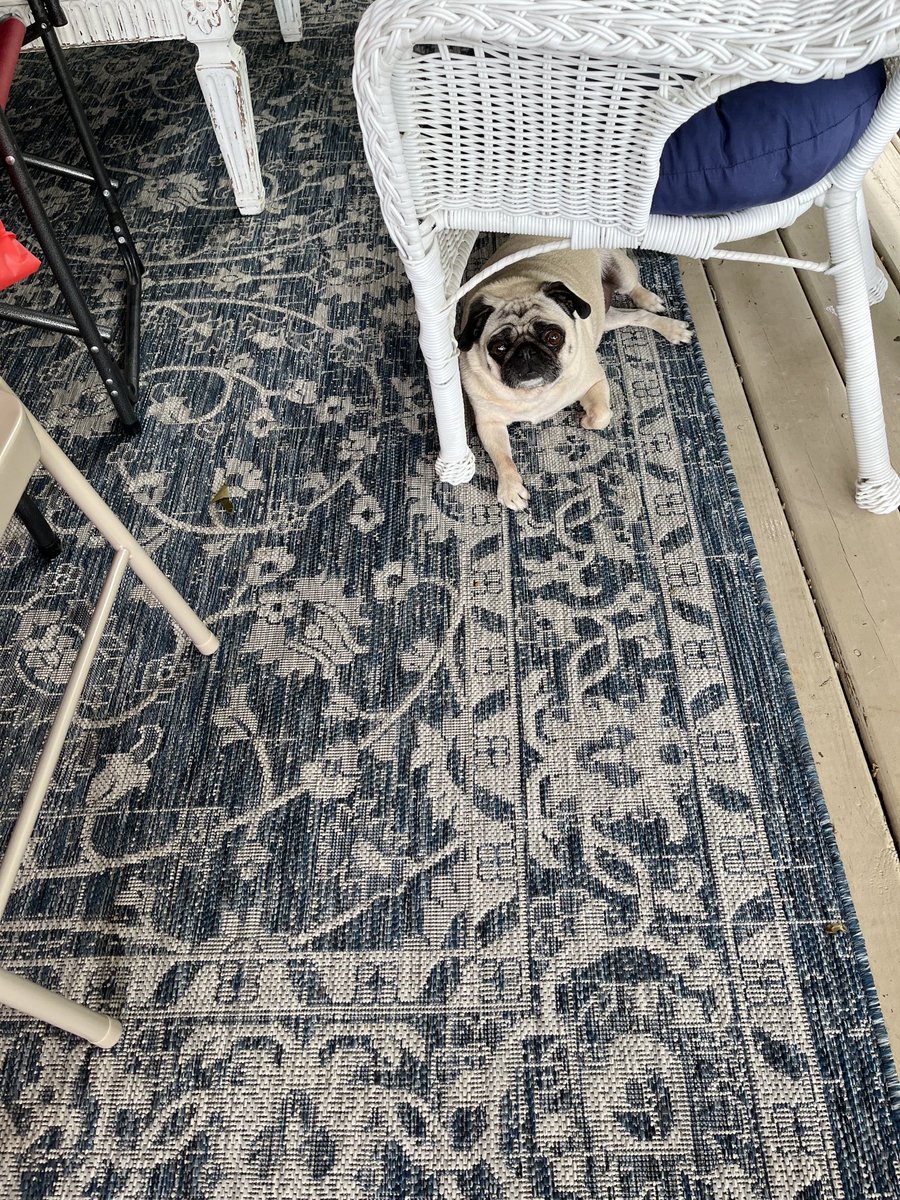 Cookout time. Come on with the food drops. 😆😆