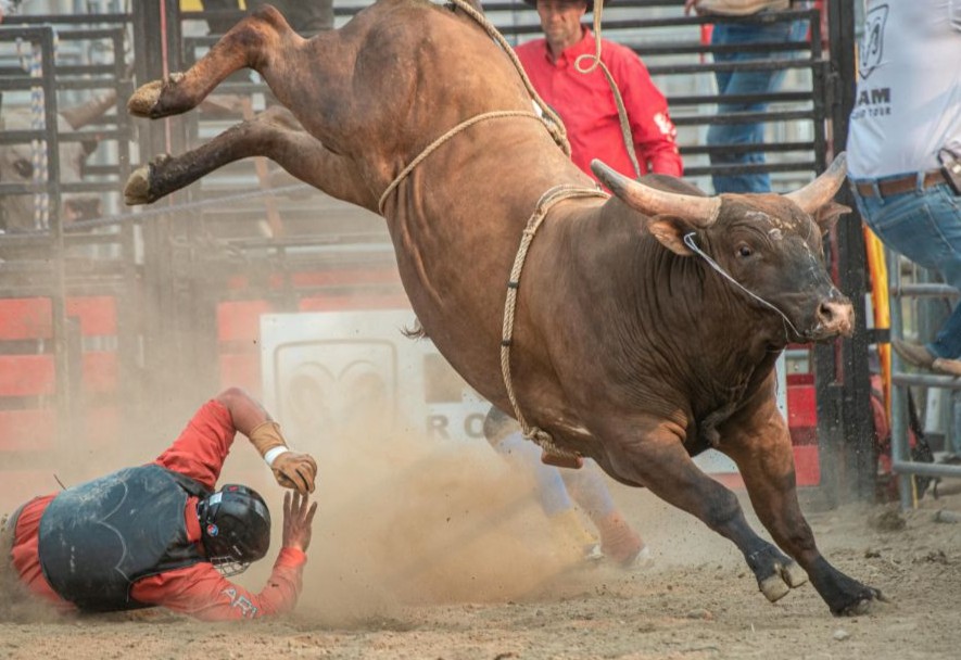 University of Nevada, Reno (@unevadareno) on Twitter photo Nicholas Murray - concussion expert, associate professor and kinesiology graduate program director in <a href="/publichealthunr/">School of Public Health</a> - explains the invisible injury that bull riders face. #AskTheProfessor bit.ly/4kYNfTc Nicholas Murray - concussion expert, associate professor and kinesiology graduate program director in <a href="/publichealthunr/">School of Public Health</a> - explains the invisible injury that bull riders face. #AskTheProfessor bit.ly/4kYNfTc