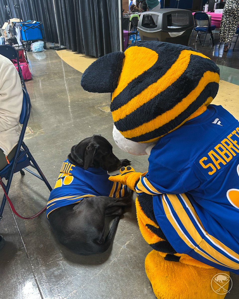 SabresPup's tweet image. Congratulations to all of the new families and pets that found homes today! 🐾

Best friends fur-ever! 🥹