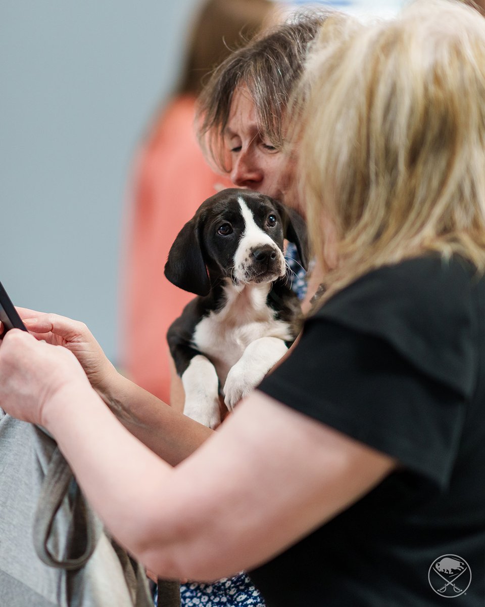 SabresPup's tweet image. Congratulations to all of the new families and pets that found homes today! 🐾

Best friends fur-ever! 🥹