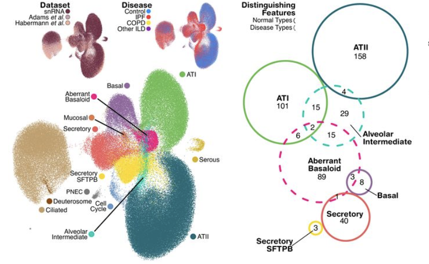 Naftali Kaminski tweet media