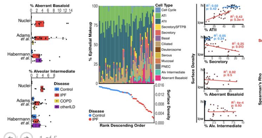 Naftali Kaminski tweet media