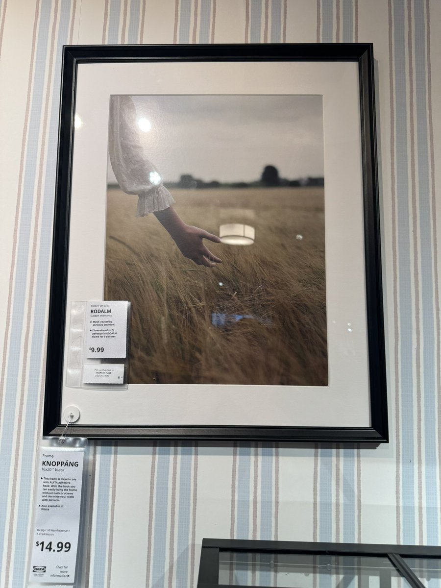 "My name is Maximus Decimus Meridius, Commander of the Armies of the North, General of the Felix Legions, loyal servant to the true emperor Marcus Aurelius, father to a murdered son, husband to a murdered wife. And I will have my vengeance, in this life or the next.”