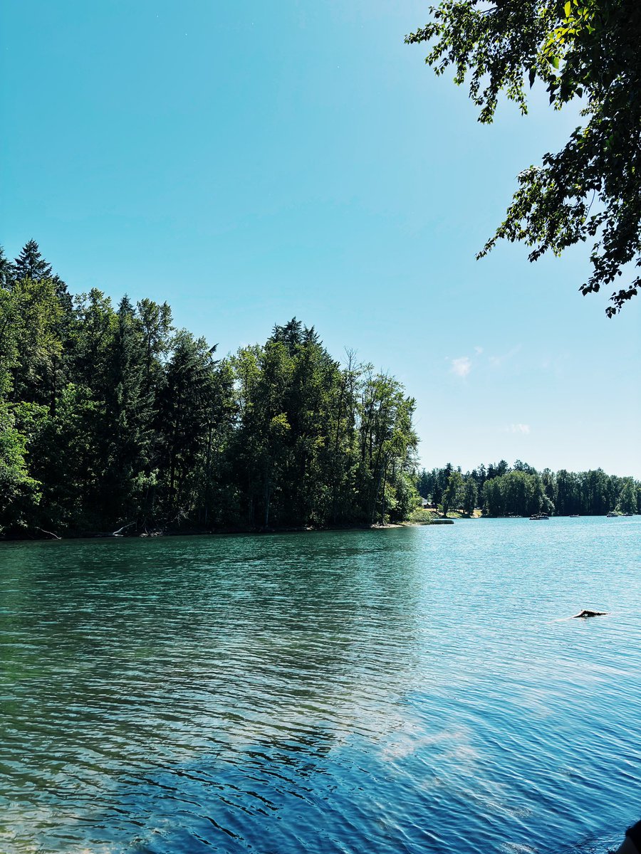 prodevol's tweet image. touching grass and such 🏕️