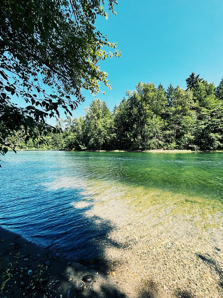 prodevol's tweet image. touching grass and such 🏕️