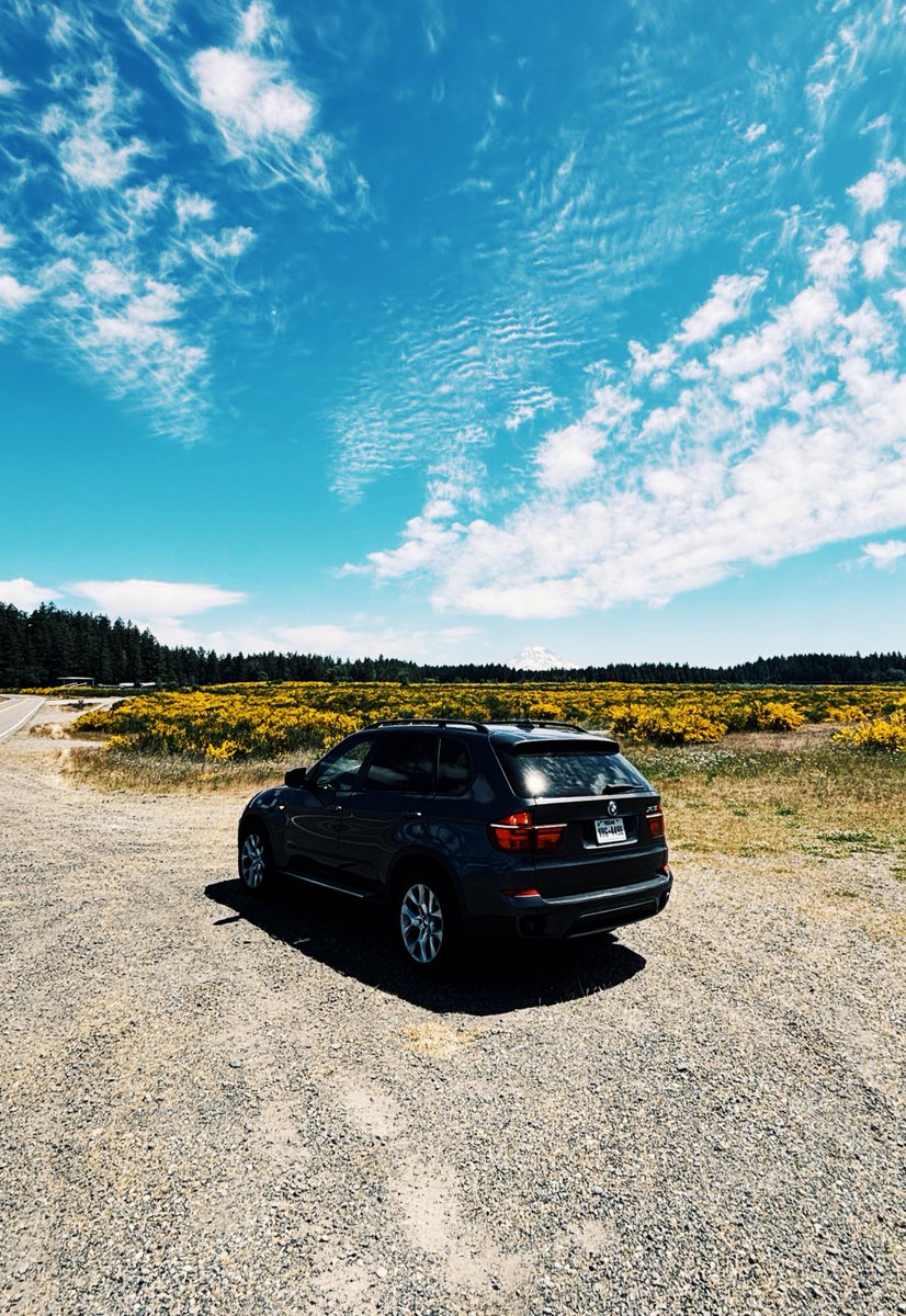 prodevol's tweet image. touching grass and such 🏕️