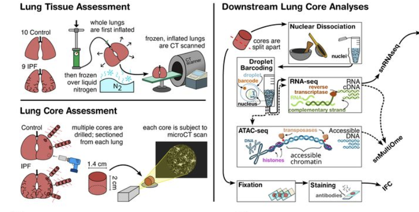 Naftali Kaminski tweet media