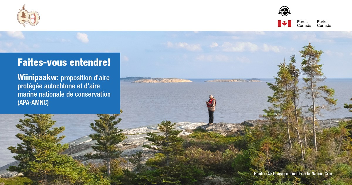 ParcsCanada's tweet photo. Jusqu’au 25 juin, participez à la conversation sur la proposition d’aire protégée autochtone et aire marine nationale de conservation (#AMNC) Wiinipaakw dans les eaux au large de la région marine Eeyou, dans l'est de la baie James.

➡️https://t.co/2JSyILcvLe

@gcccra https://t.co/xzblaXGjsT