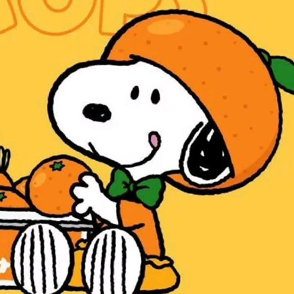 Daily Snoopy (@dailysnoopys) on Twitter photo 