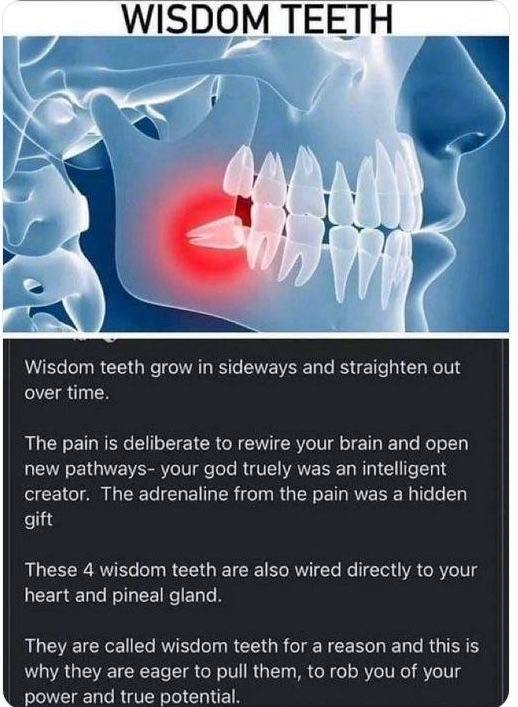 They don’t pull your wisdom teeth for nothing... 🧠👁️