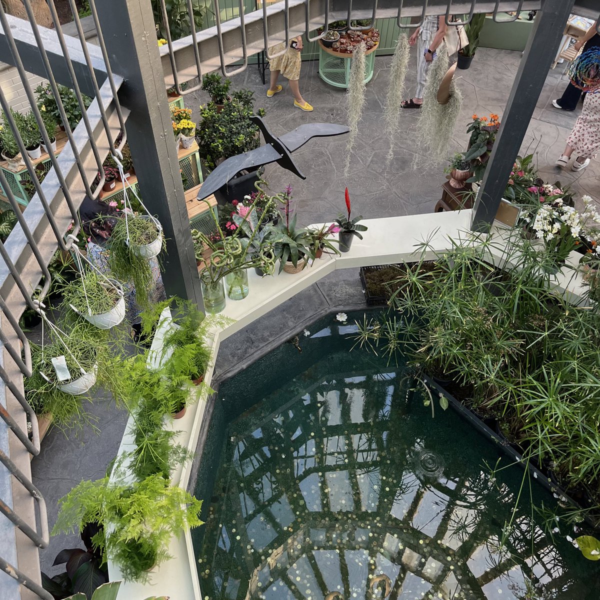 📍botanik parkı, ankara