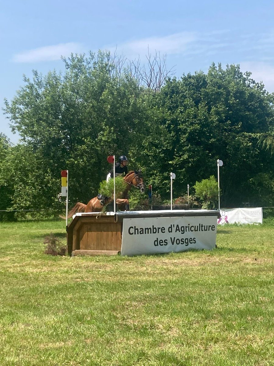 Le passage par la Chambre d'Agriculture des Vosges est un obstacle trop important pour vous?
Venez vous installer dans le Jura.
